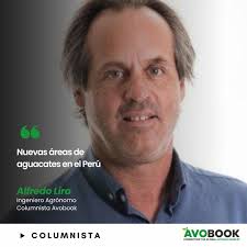 Freddy Quiroz Medina