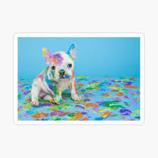 Watercolor little animal clipart, frenchies, portrait, puppy, doggie, baby, flowers, kids nursery, dog, wreath, bowtie. French Bulldog Puppy Cute Skoda Small White Baby Baby One Piece By Yanulik Redbubble