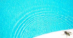 Comment Eloigner Guepes Et Insectes De Sa Piscine Aquapolis