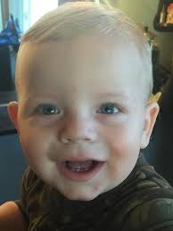 My baby Misha just got a haircut