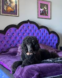 Gift for alice in wonderland fans. Modern Romantic Gothic Bedroom My Sanctuary And Sacred Space