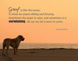 15 Quotes That Will Make You Want To Hug Your Pet Pet Loss Quotes Losing A Dog Dog Loss Quotes