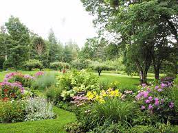 Daily Garden Kingdom Cottage Garden Pith Vigor By Rochelle Greayer Cottage Garden Cottage Garden Design Beautiful Gardens