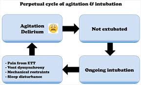 Image result for Agitated Patient