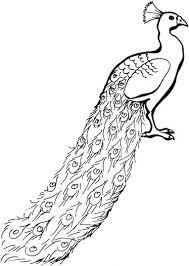 Peacock With Tail Down Coloring Page Super Coloring Peacock Coloring Pages Bird Coloring Pages Coloring Pages