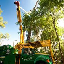 If the number of data in a specific quad overflows, it would lead to the. The Davey Tree Expert Company 1055 Commercial Ct San Jose Ca Tree Services Mapquest
