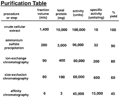 Protein Purification Table Related Keywords Suggestions