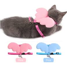 En Ucuz Kedi Malzemeleri Kedi Icin Alisveris Aliexpress