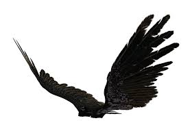Black And White Wings Roblox Angel Wing 04 By Wolverine041269 On Deviantart Wings Angel Wings Angel