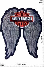 Image result for harley davidson wing