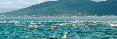 O #rionegrochallenge elevou o padrão dos eventos esportivos do amazonas a níveis inimagináveis. Circuito Maratona Aquatica Tem Inicio Em Sao Sebastiao Swim Channel