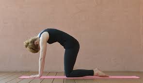 Wir zeigen ihnen 6 einfache übungen, die auch anfängern gelingen. 7 Einfache Yoga Ubungen Die Immer Jedem Guttun