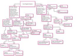 6 Parasitology Flowchart College Notes Microbiology