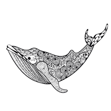 Orca killer whale, flat illustration. Pin On Zentangles