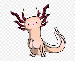 4,837 likes · 15 talking about this. The Cute Axolotl By Ariaangelwing Drawing Free Transparent Png Clipart Images Download