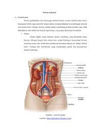 Sistem urinaria atau saluran kemih merupakan sistem organ yang berguna untuk menyaring dan membuang limbah dan cairan berlebih bersama dengan urine. Sistem Urinaria