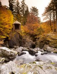 Maybe you would like to learn more about one of these? The Hermitage Garden