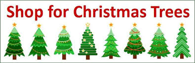 What should i do if my christmas tree is too big? How To Care For A Real Christmas Tree