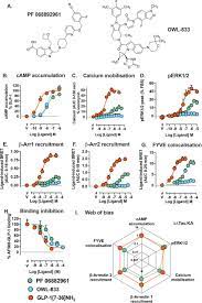 Differential GLP-1R binding and activation by peptide and non-peptide  agonists | bioRxiv