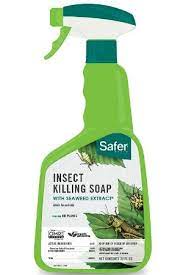 All You Need To Know About Insecticidal Soap Insecticidal Soap Garden Pest Control Organic Insecticide