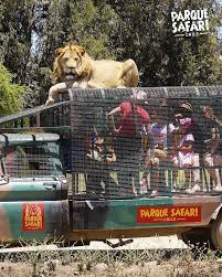 Vega alta (safari park, 1970.) the name of the park was simply safari park. Facebook