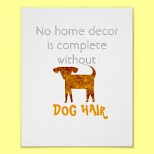 Funny Cute Collage Dog Quote Poster Art Dog Quotes Quote Posters Dog Poster