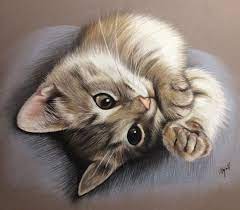 Draw Drawing Catportrait Cat Chaton Chat Dessindechat Lespastelsdevir Cute Cats Cat Drawing Cat Art