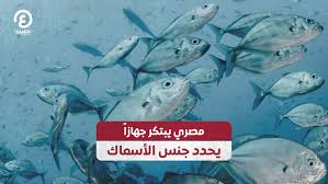 مصري يبتكر جهازاً يحدد جنس الأسماك - فيديو Dailymotion