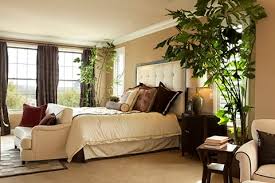 Hang them from the ceiling or beams and allow them to showcase all their. Add Life To Your Home With Indoor Decorative Plants