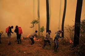 Berlokasi di desa setianegara, kecamatan cilimus, kabupaten kuningan, kamu. Hutan Gunung Ciremai Terbakar Lagi Kali Ini Lebih Luas