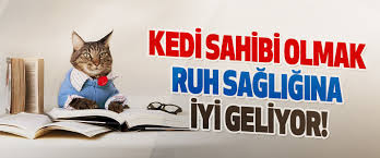 kedi sahibi olmak ruh sagligina iyi geliyor
