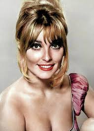 Her father was an officer in the united states army. Sharon Tate Posters Fine Art America