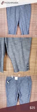 Dressbarn Capri New Pants Plus Size 22 Nwt New Pant Dress Barn Pants Plus Size