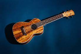 Shallow hal soundtrack cd details and availability. The Best Ukulele For Beginners Reviews By Wirecutter