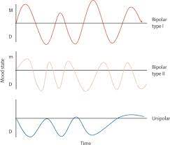 Bipolar disorder is a complex mood disorder. Supplemental Materials For Bipolar Disorder Diagnosis Challenges And Future Directions The Lancet