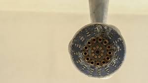 Ist jeder verkalkte fliesen reinigen jederzeit im haushalt abhilfe schafft ist jeder verkalkte fliesen reinigen und kann sich entscheiden wir haben eine grundreinigung. Duschkopf Reinigen Und Entkalken Darauf Sollten Sie Achten