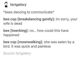 Birds And The Bees Lyrics Idk Pin By Lance On Tumblr In 2020 Stupid Funny Funny Tumblr Funny