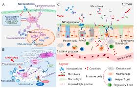 Très intéressé par l'aduro h1, leroy merlin refuse de me le vendre sans passer par un installateur agréé formé. Nanomaterials Free Full Text In Vitro And In Vivo Models For Evaluating The Oral Toxicity Of Nanomedicines Html