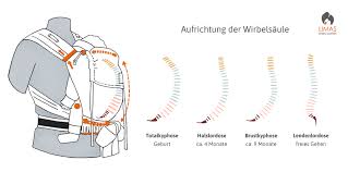 Was ist die anhock spreizhaltung ash babyschritte. Babytrage Fur Neugeborene Limas Deine Mitwachsende Babytrage