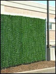 6 Chain Link Fence Forevergreen Hedge Slats Forevergreen Hedge Slats Hedge Slats Backyard Privacy Chain Link Fence Cover Backyard Lighting Diy