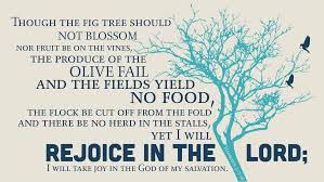 Habakkuk 3 17 18 Rejoice Rejoice All The Earth Will Sing His Praises Hallelujah Cool Words Inspirational Scripture Quotes To Live By