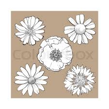 We did not find results for: Set Of Wild Black And White Field Stock Vector Colourbox
