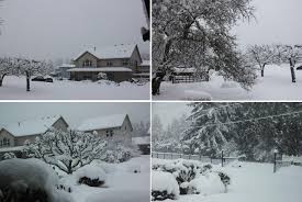 Join facebook to connect with bão tuyết and others you may know. Báº£o Tuyáº¿t Olympia Washington State Hinh Trong Ngay Viá»t Bao VÄn Há»c Nghá» Thuáº­t