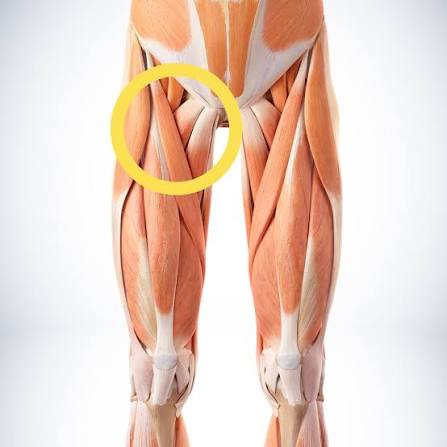 Hip Flexor Stretches — Dani Winks Flexibility