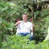At this point, you know why ants are bad for your garden, and which ones you are likely to see. Get Rid Of Ants In Your Vegetable Garden Uc Master Gardeners Of Monterey Bay Anr Blogs