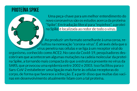 A eficácia da vacina é geralmente relatada como uma redução do risco relativo (rrr). Como Funcionam As Pesquisas Para A Criacao De Uma Vacina Revista Arco