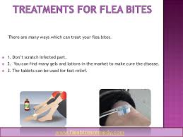 Bed bugs are tiny parasitic insects that range in size from 1mm to 7mm. Flea Bites Remedy