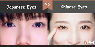 In this video we will cover that and a bit on how . Japanese Eyes Vs Chinese Eyes What Is The Difference Diffzi