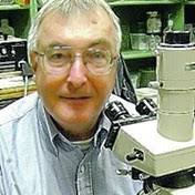 Font Family Obituaries