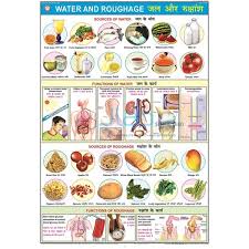 Our Food Chart India Our Food Chart Manufacturer Our Food